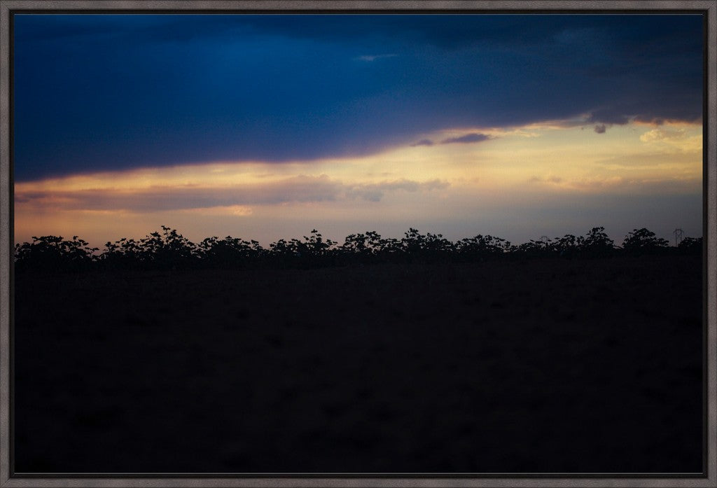 Sunset Cotton Silhouette