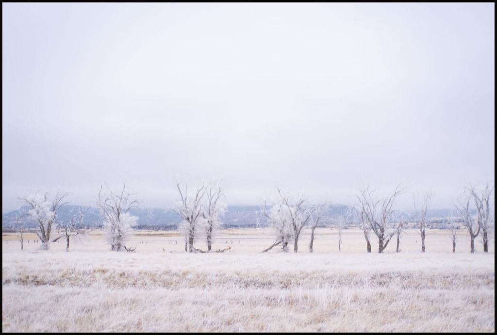 Frozen Enchantment III