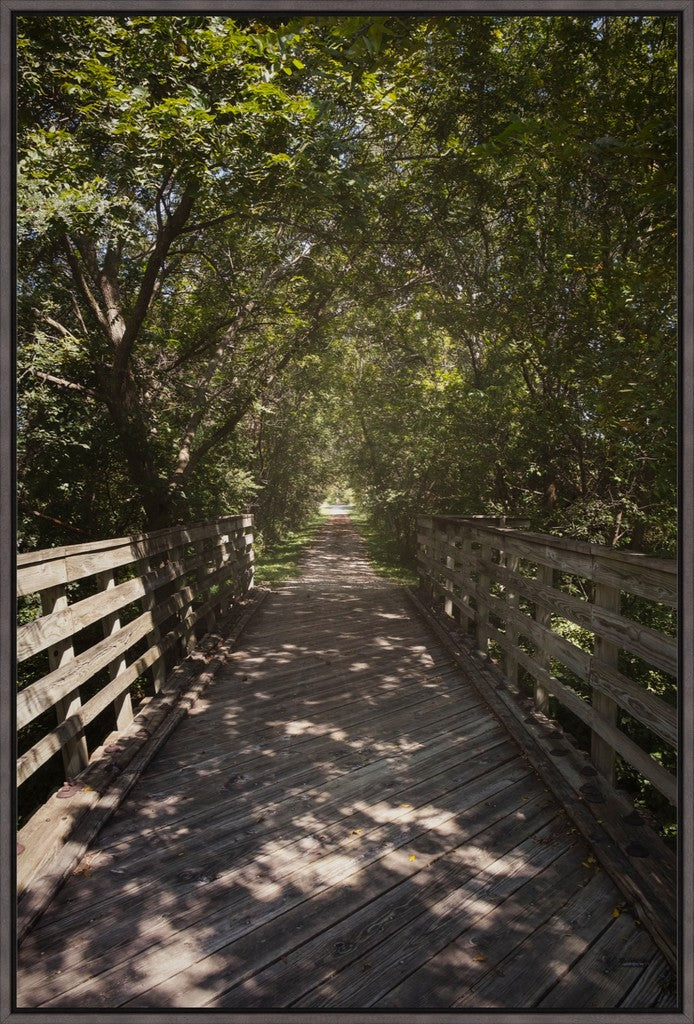 Rural Bike Path II