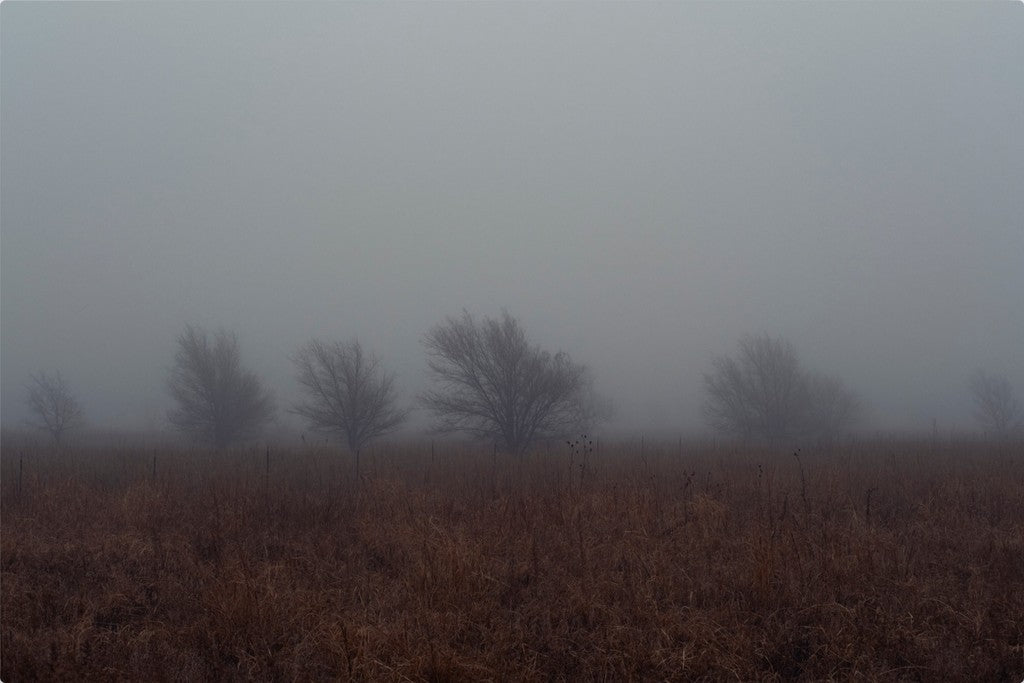 West Texas Winter Fog - 2