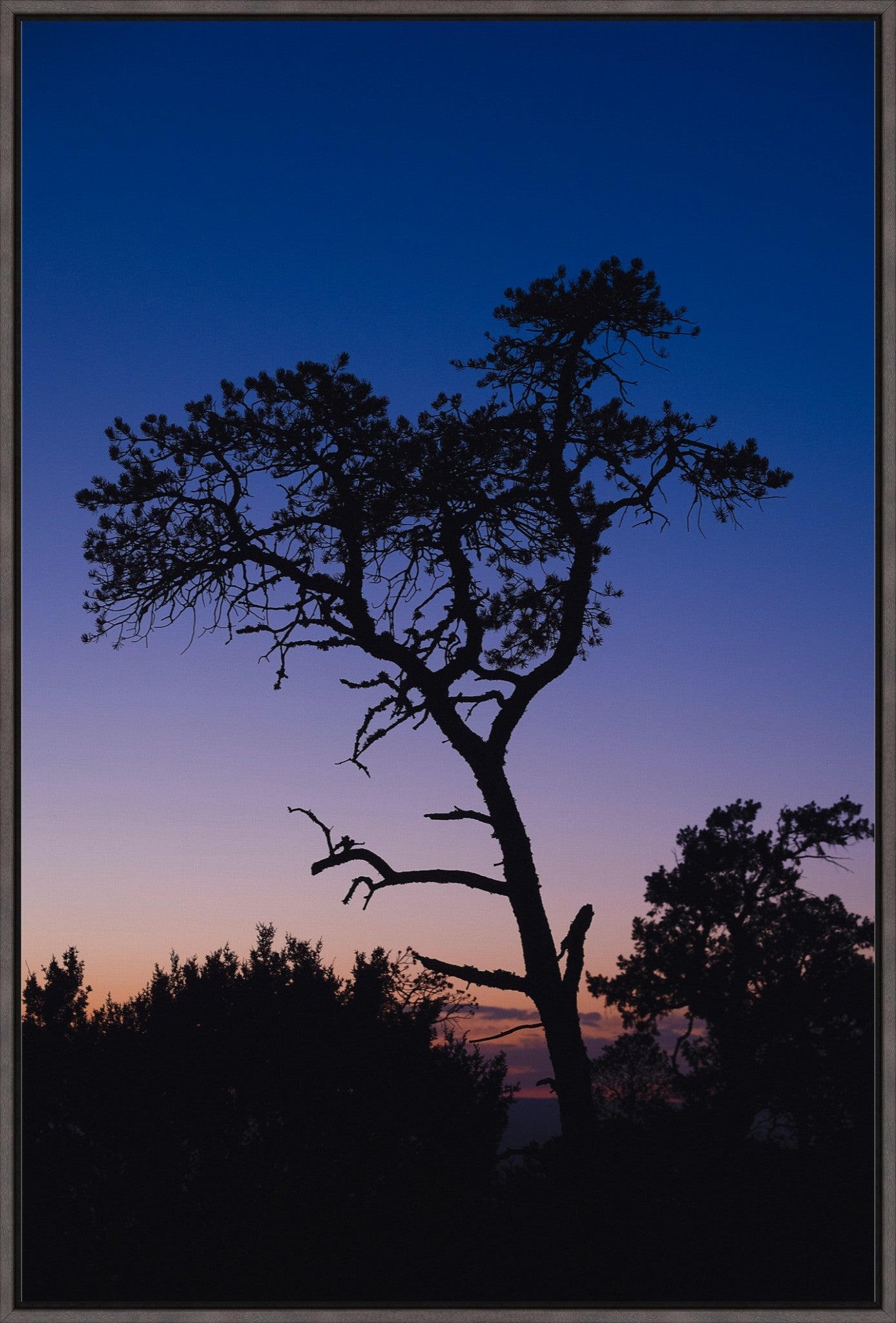 Heart of Lincoln National Forest