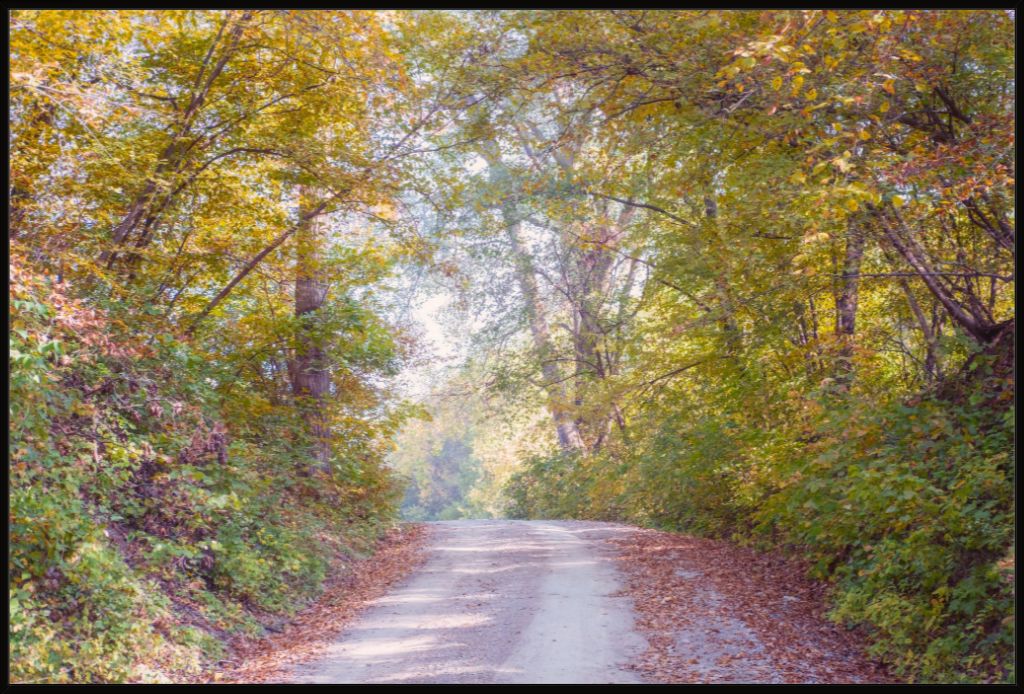 Midwest Fall Colors