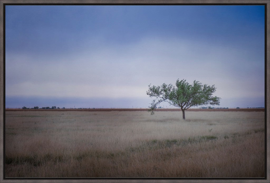 Solitary Tree in Blue