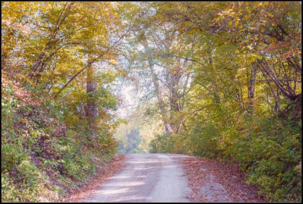 Midwest Fall Colors