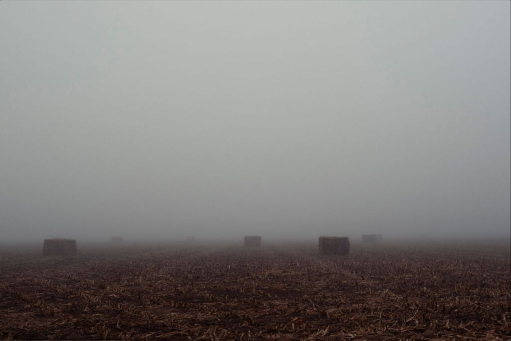 West Texas Winter Fog - 4