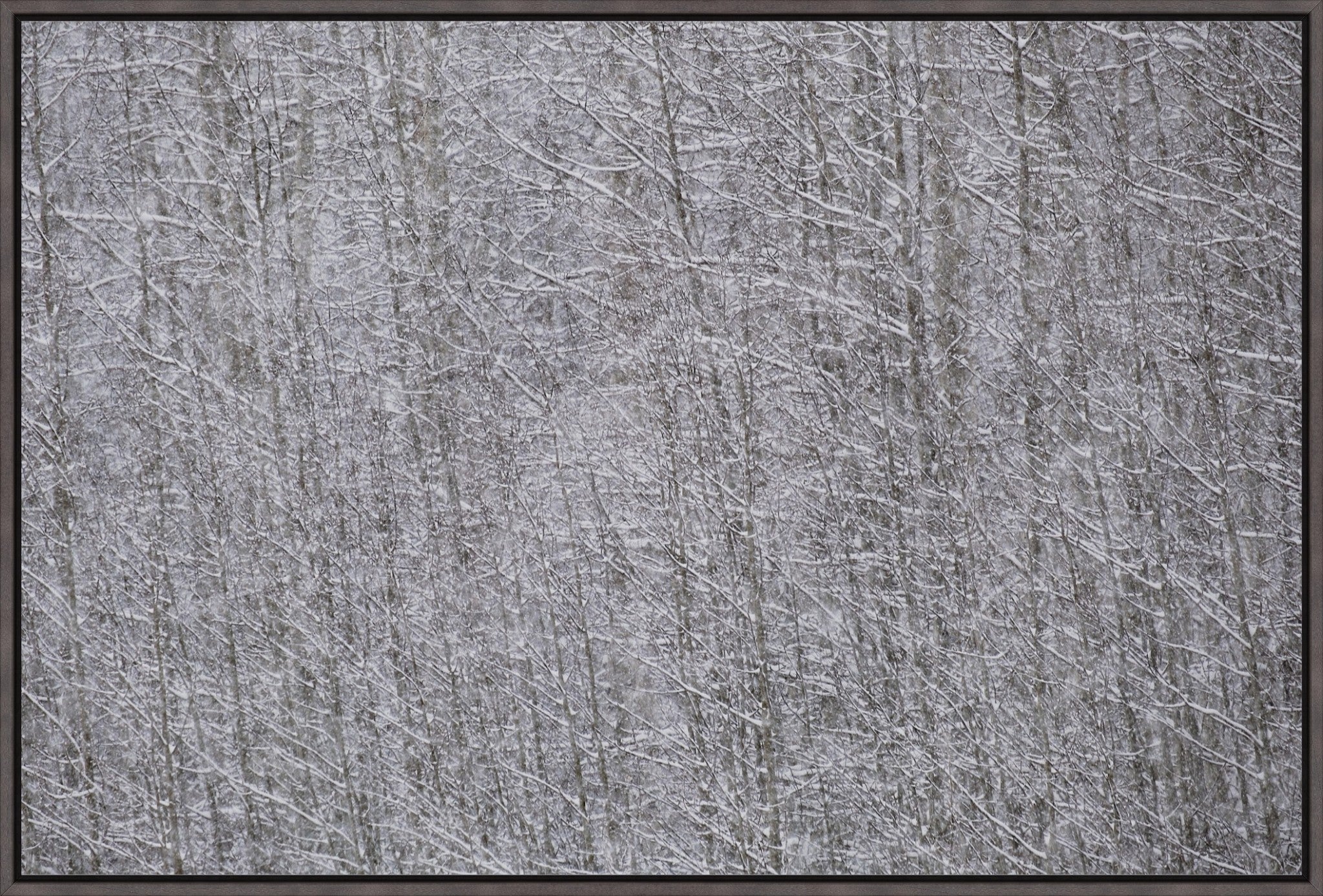 Heavy Snow & Forest Abstract I
