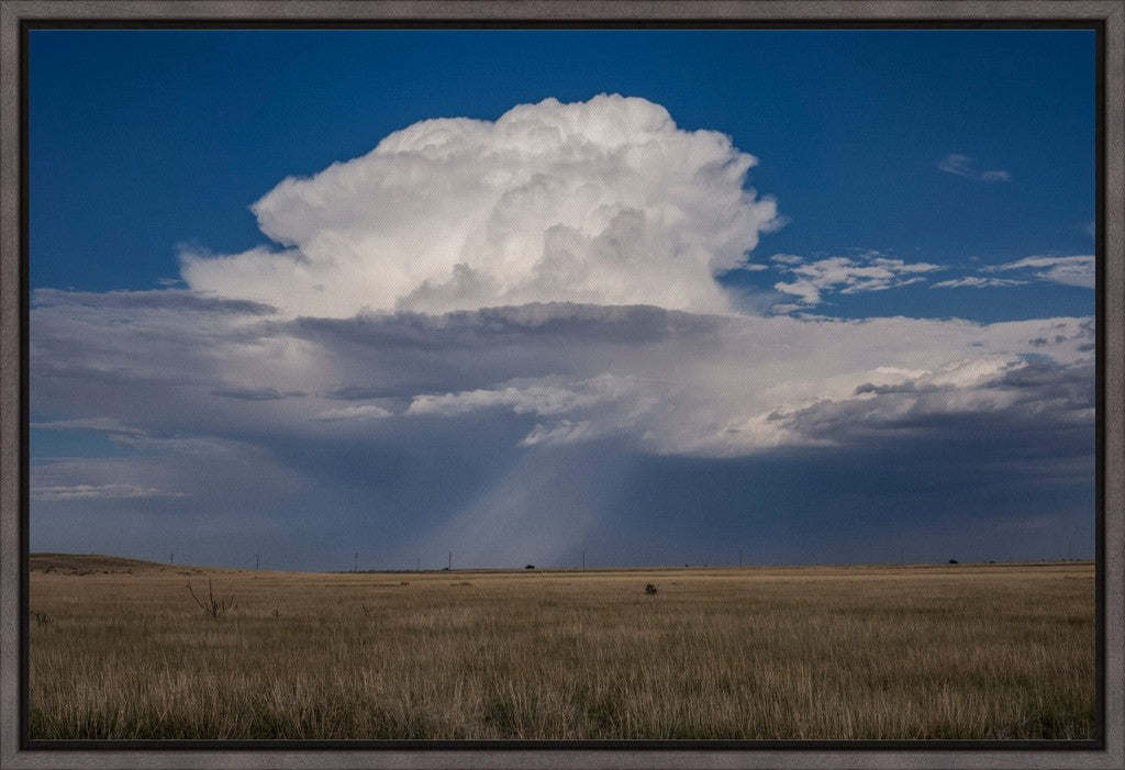 Rain on the South Plains