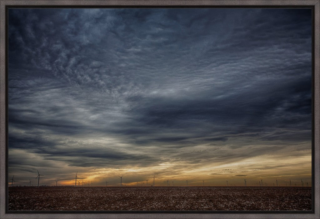 West Texas Cotton and Windmills
