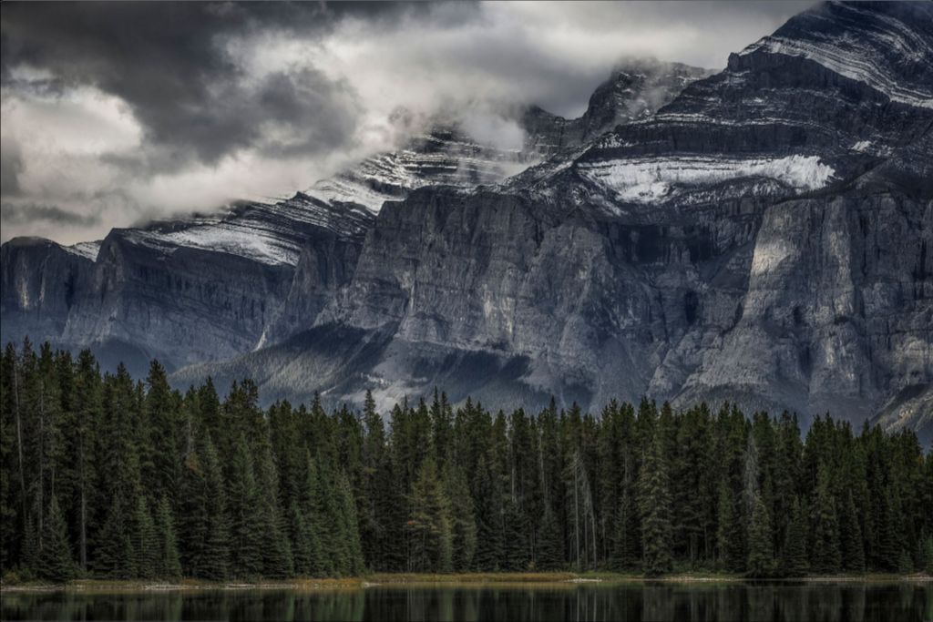 Green Forest and Mountain
