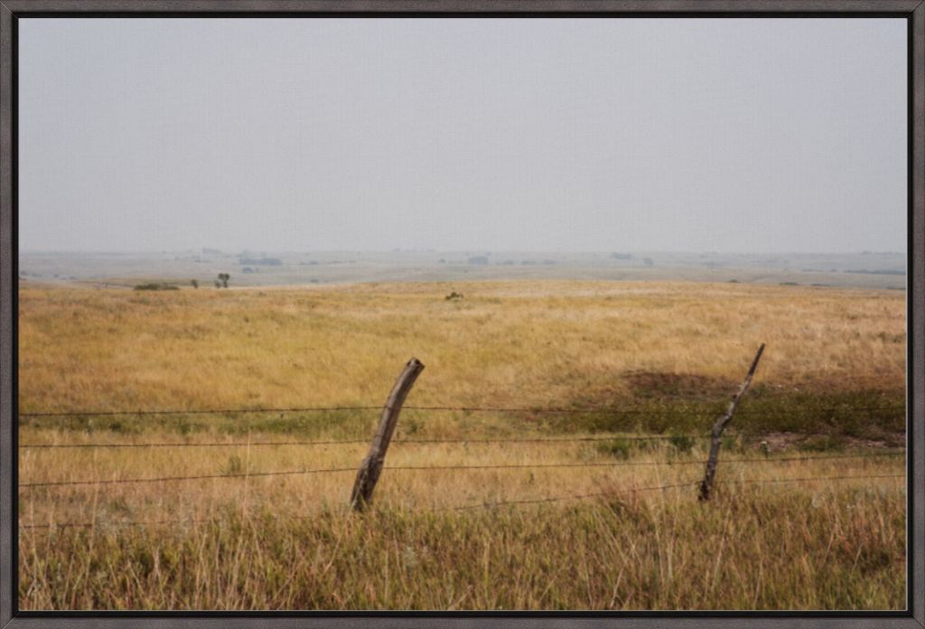 Southern Great Plains Grassland