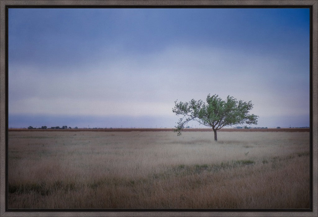 Solitary Tree in Blue