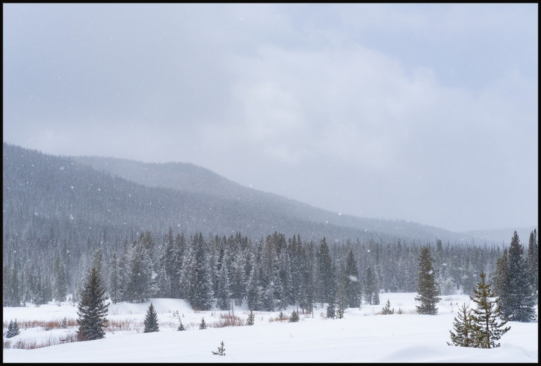 Late Winter Snowfall