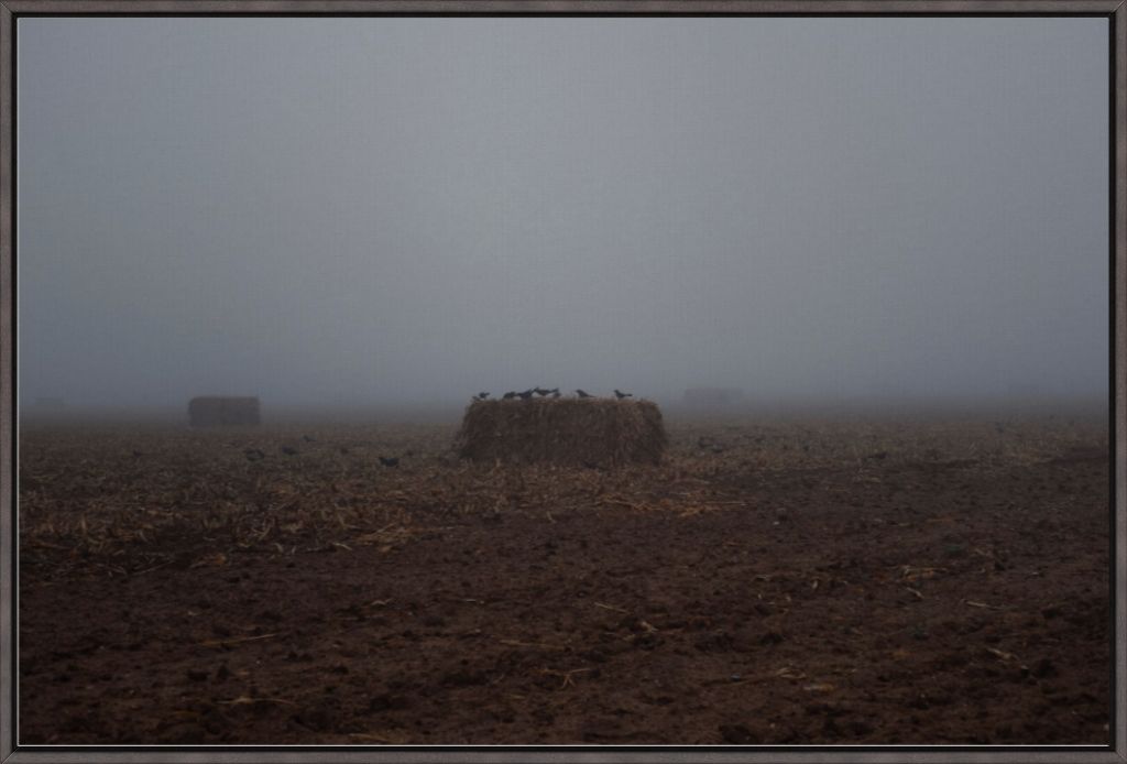 West Texas Winter Fog - 7