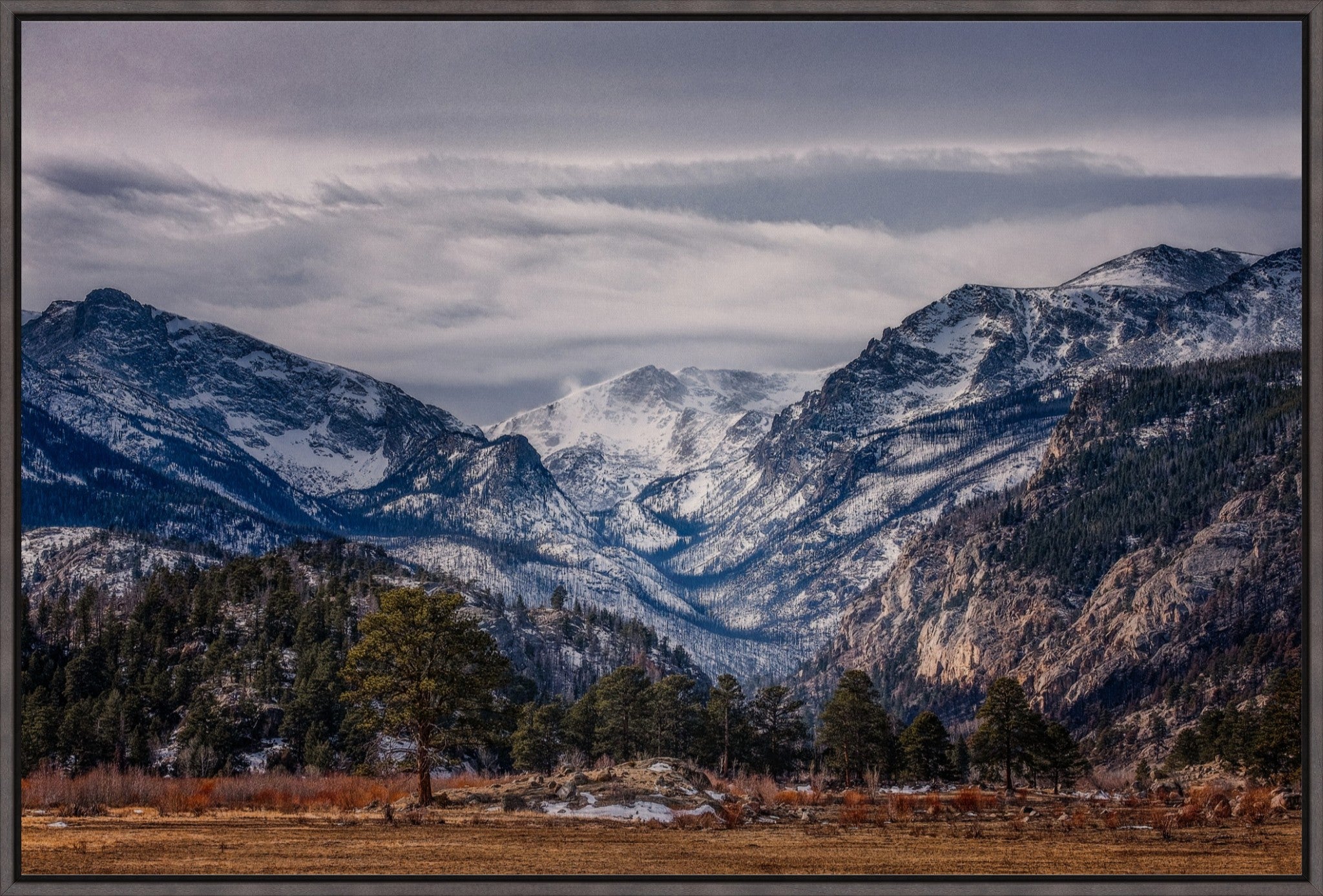 Front Range Winterscape