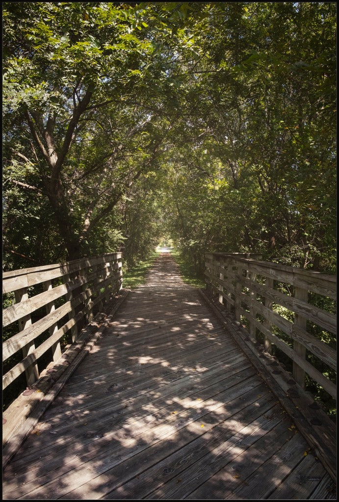 Rural Bike Path II