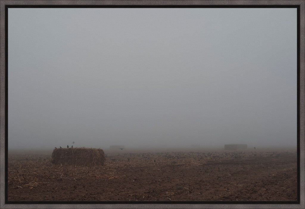 West Texas Winter Fog - 5