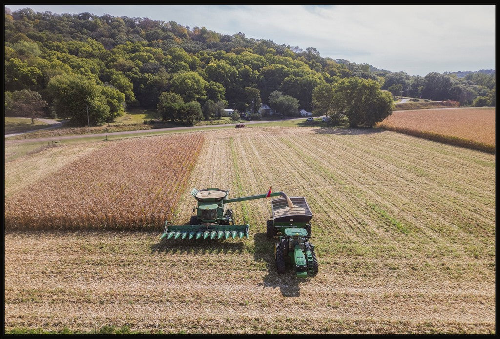 Aerial Corn Harvest V