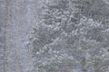 Heavy Snow & Forest Abstract III