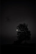 Full Moon and Tree Silhouette