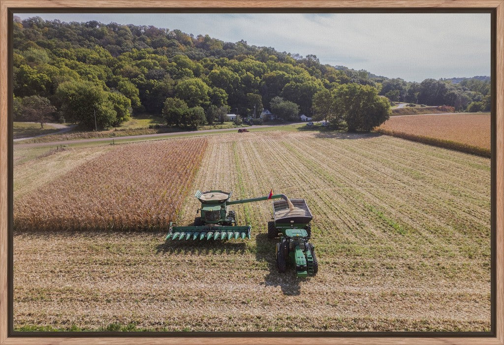 Aerial Corn Harvest V