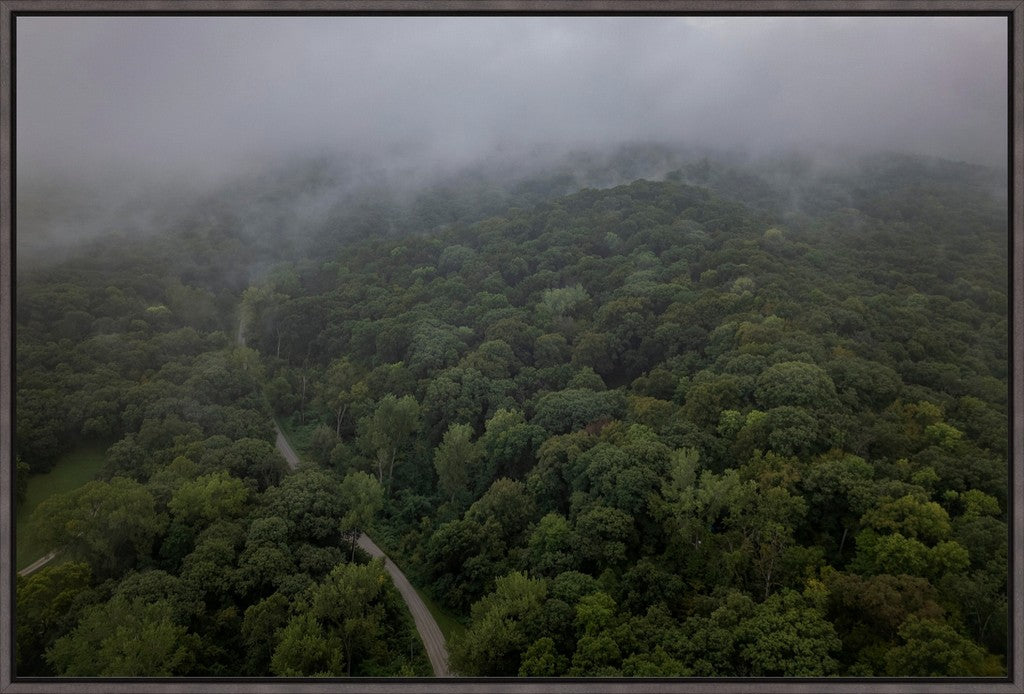 Fog Over the Bluffs Aerial