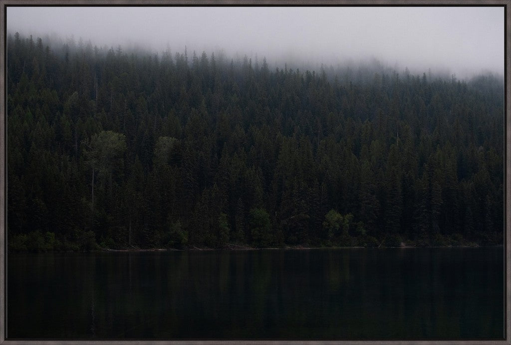 Montana Forest + Lake