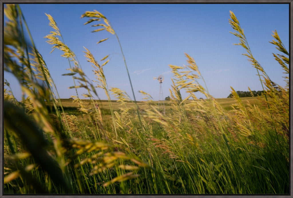 Historic Windmill and Prairie Grass