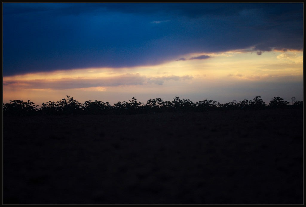 Sunset Cotton Silhouette