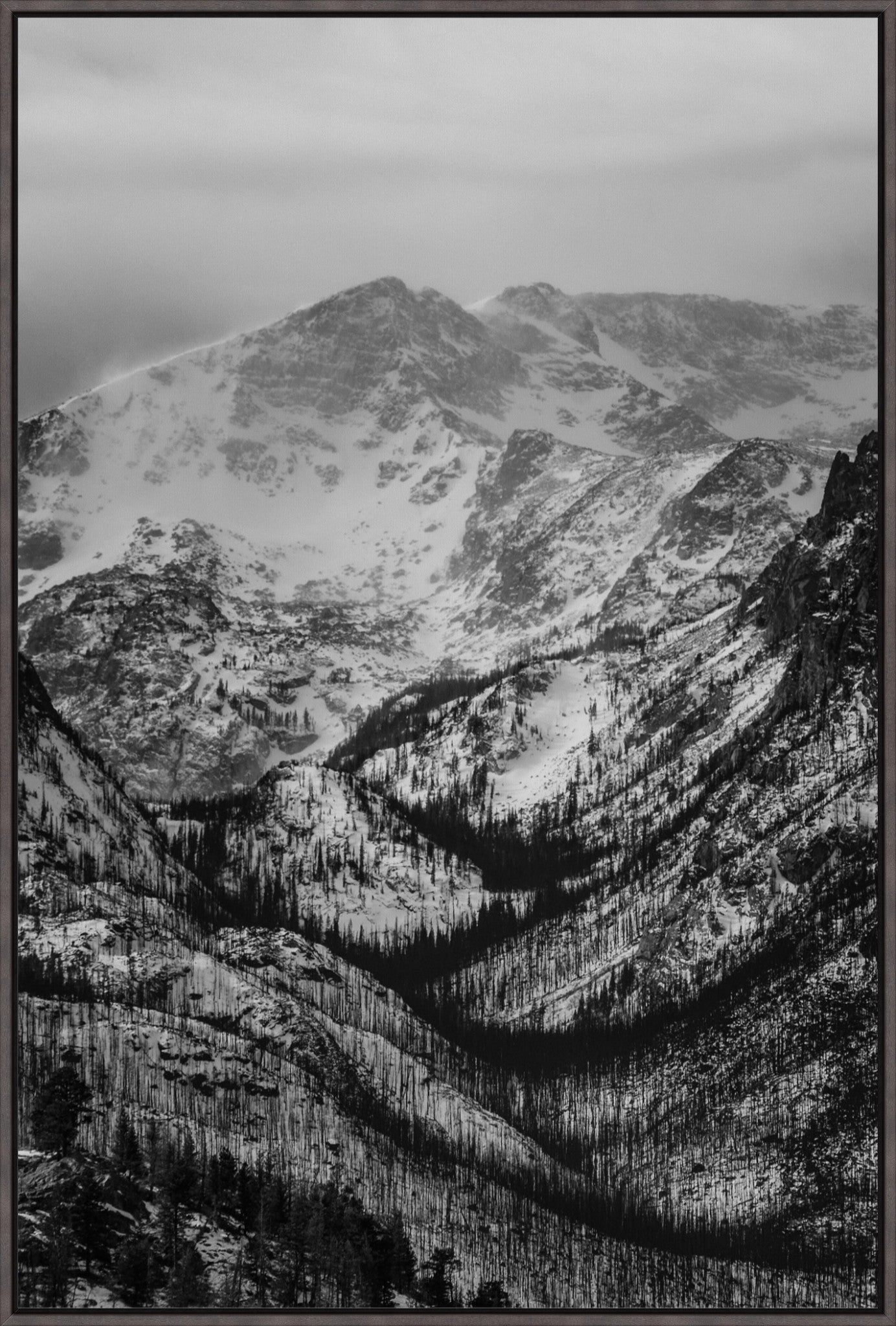 Winter Gulley