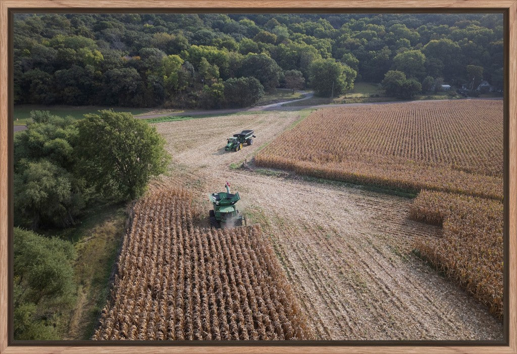 Aerial Corn Harvest III