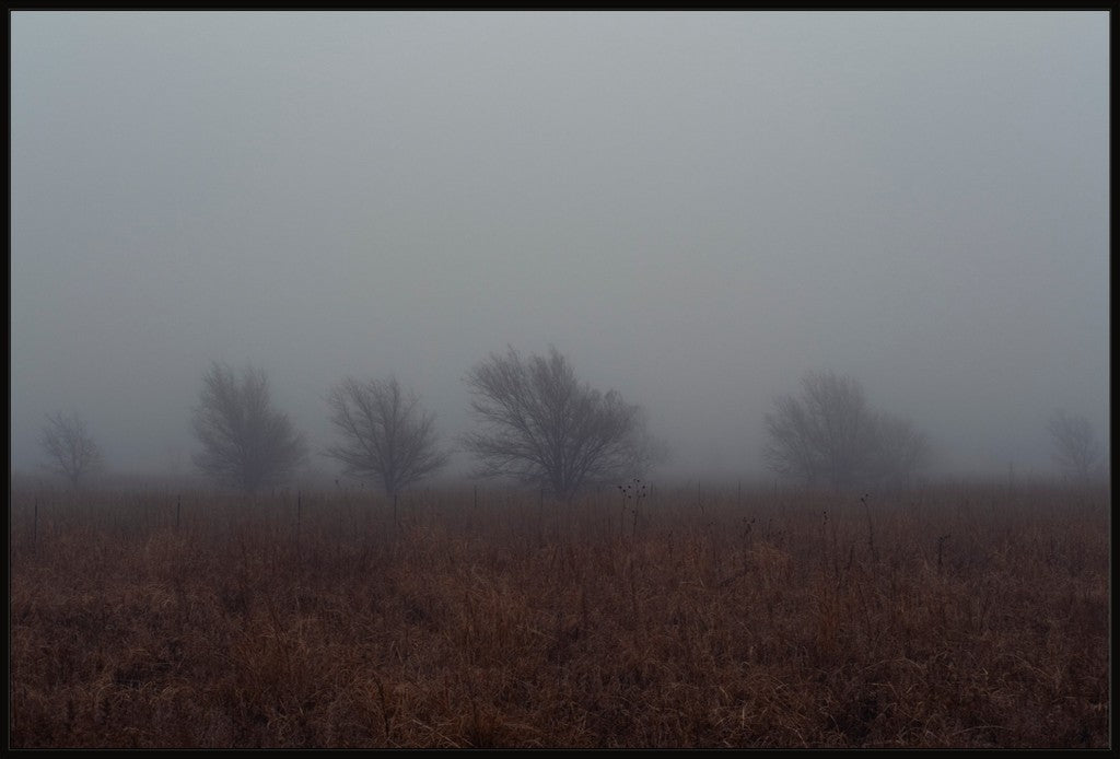 West Texas Winter Fog - 2