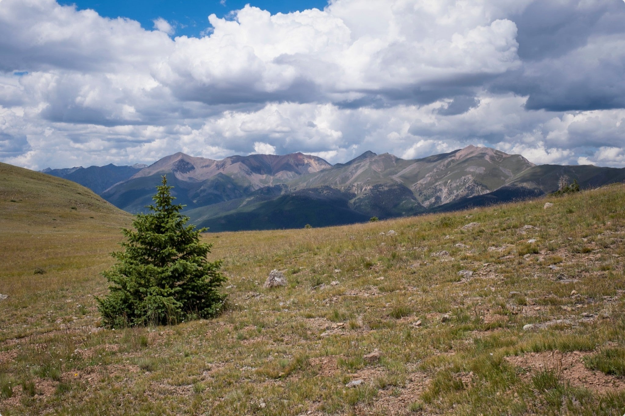 Evergreen Views