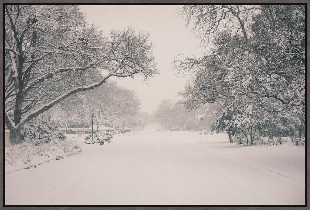 20th Street in Winter Storm