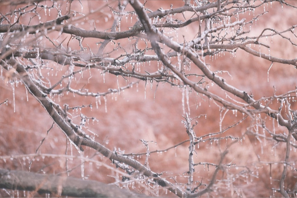 Midwest Winter Freeze