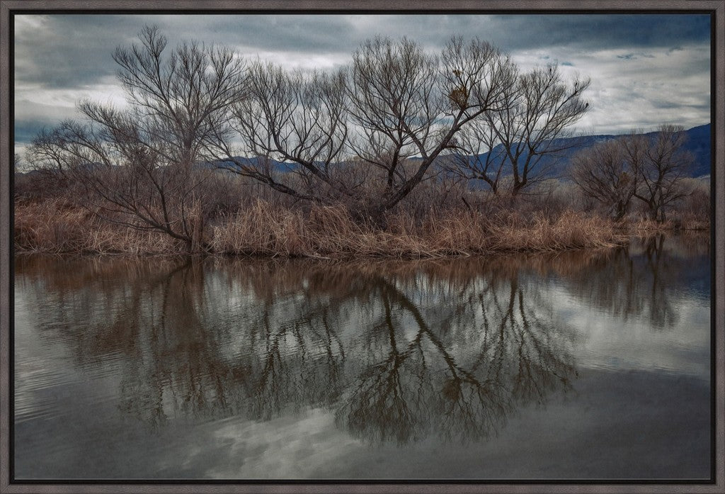 Dead Horse Reflections