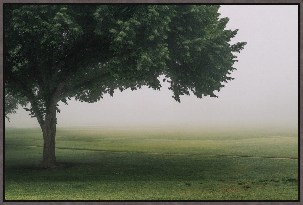 Urban Fog