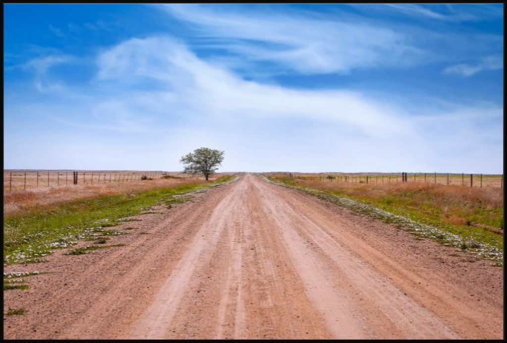 West Texas Farm Road in Summer