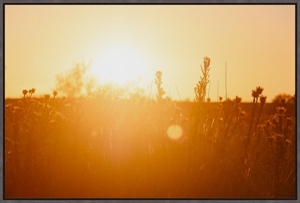 South Plains Sunset