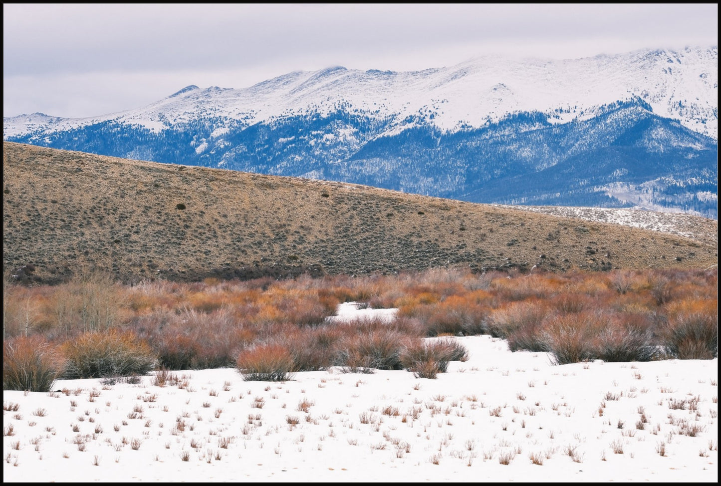 Rocky Mountain Winterscape