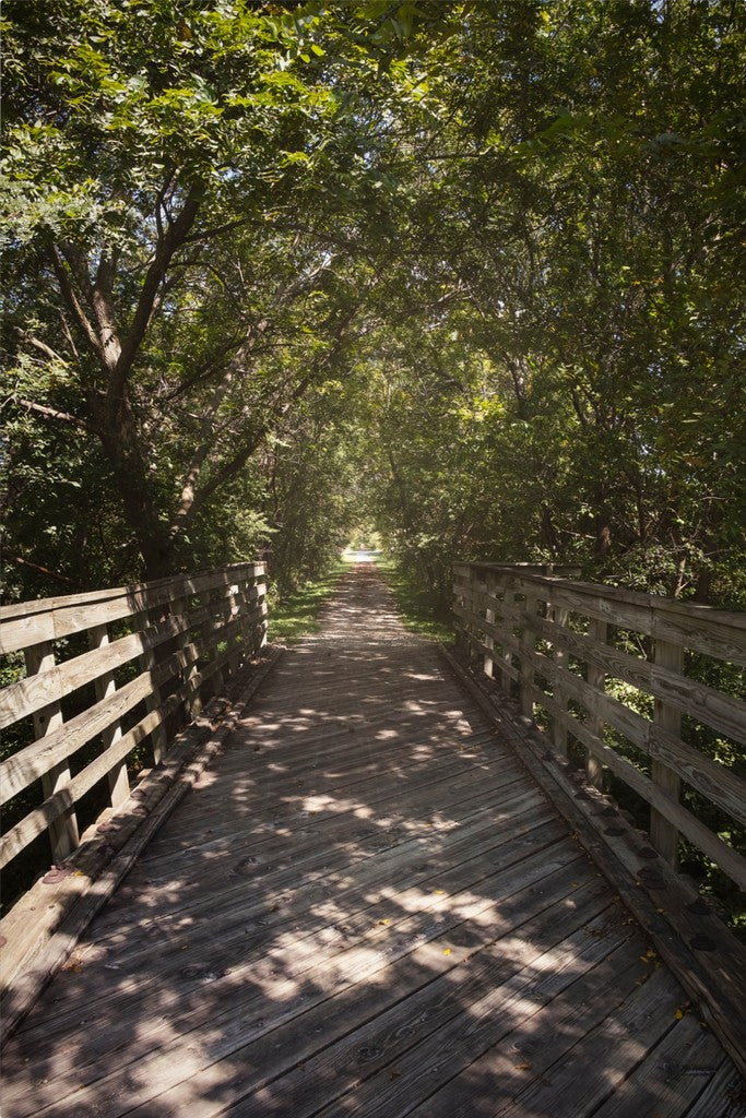 Rural Bike Path II
