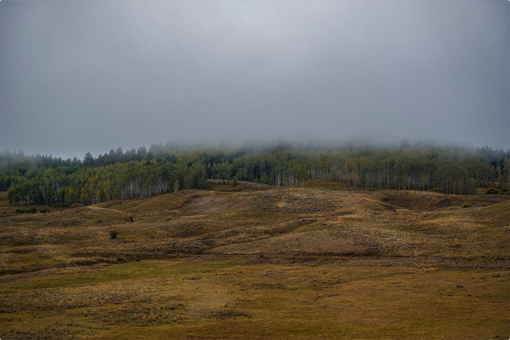 Low Clouds