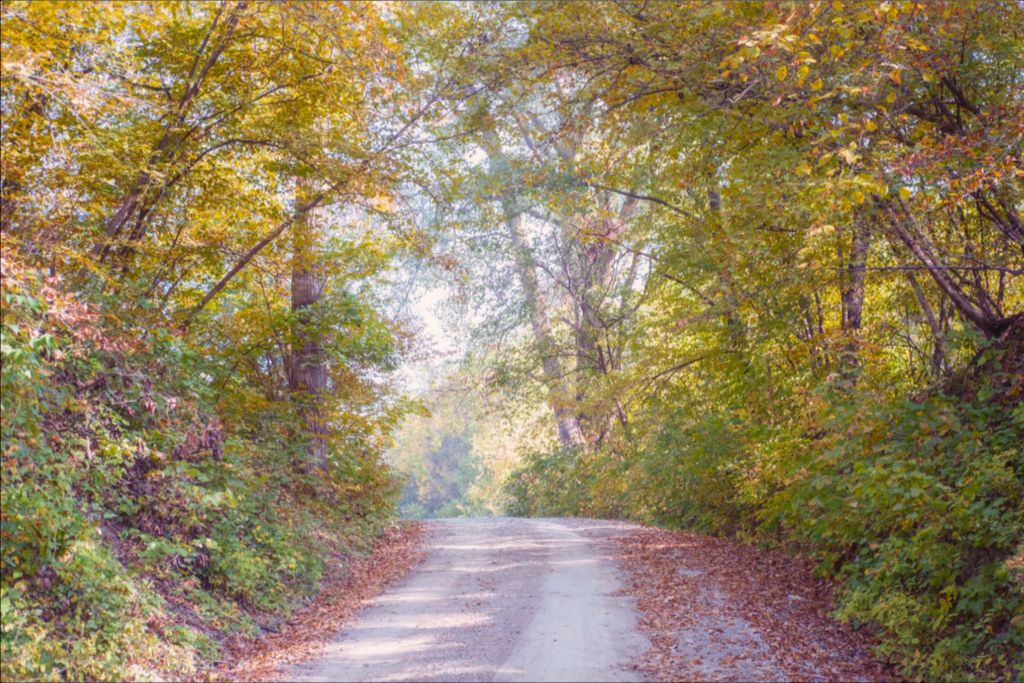 Midwest Fall Colors