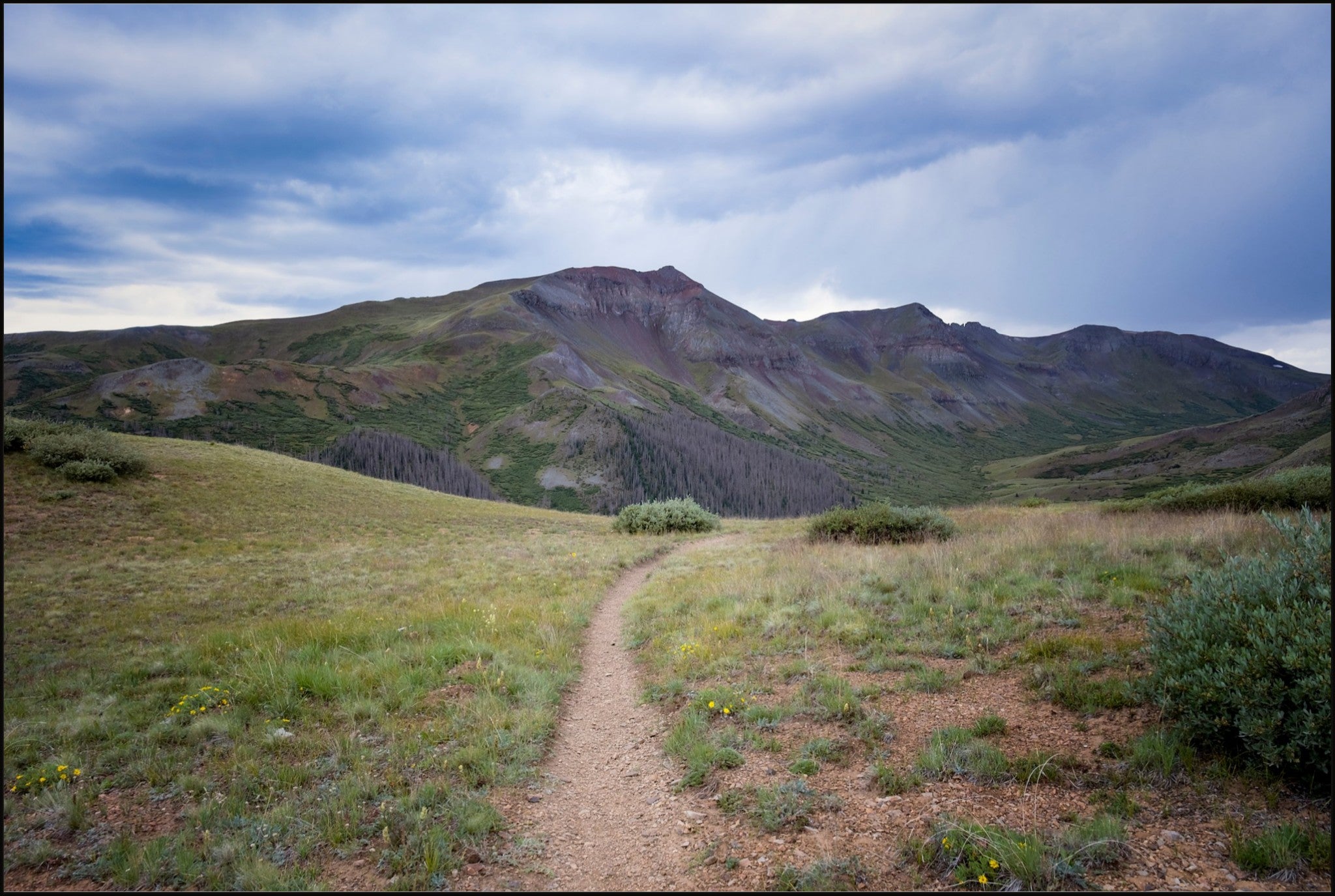 Into the San Juans