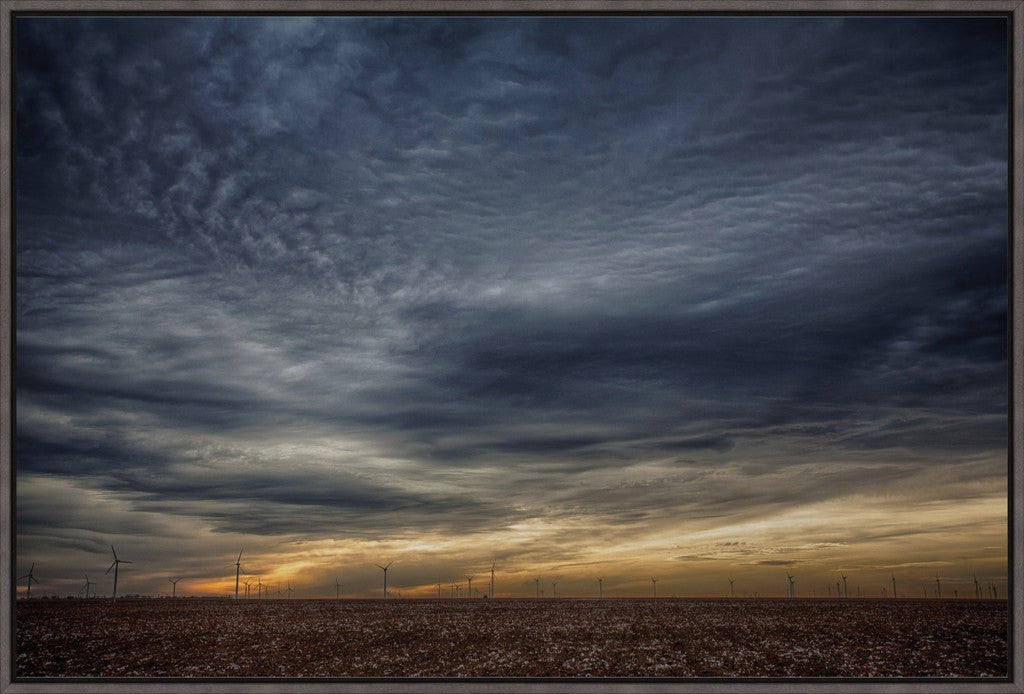 West Texas Cotton and Windmills