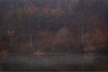 Foggy Winter Woods and Lake