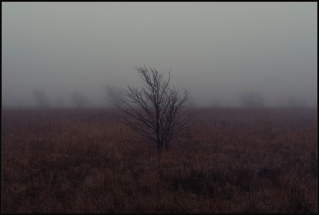West Texas Winter Fog - 1