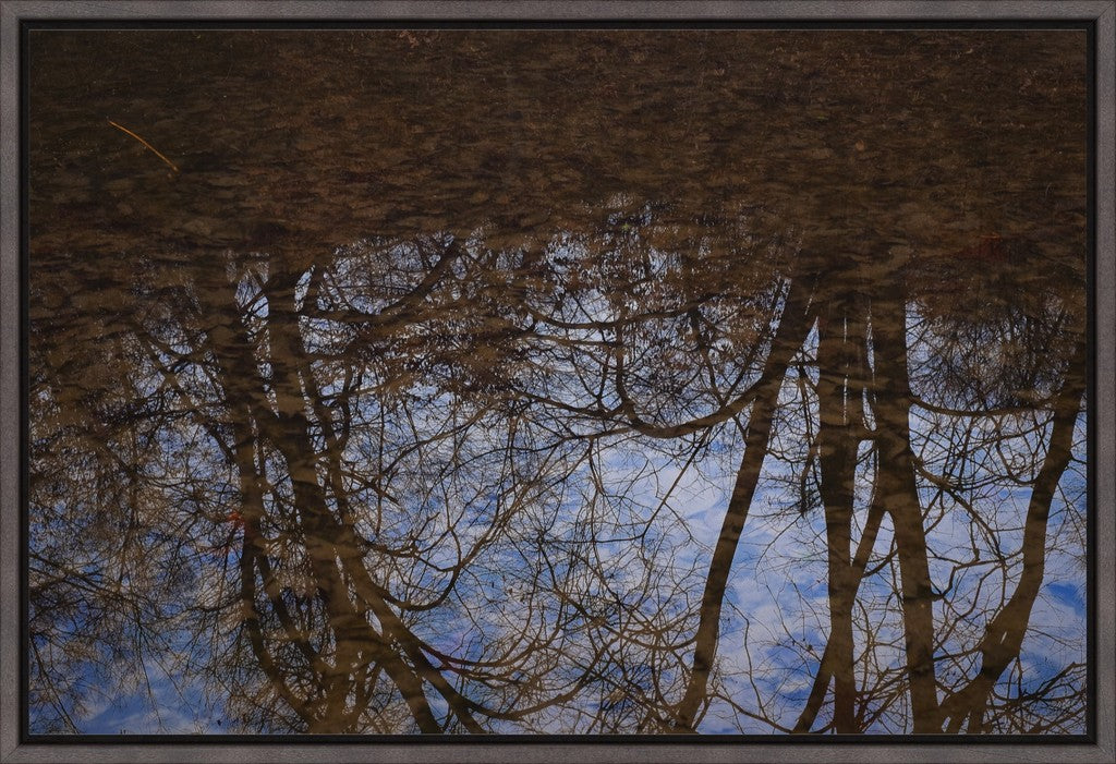 Winter Woodland Reflections