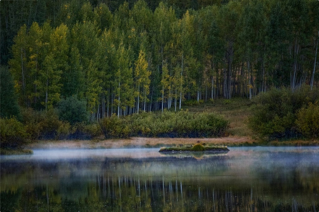 Misty Lake and Island