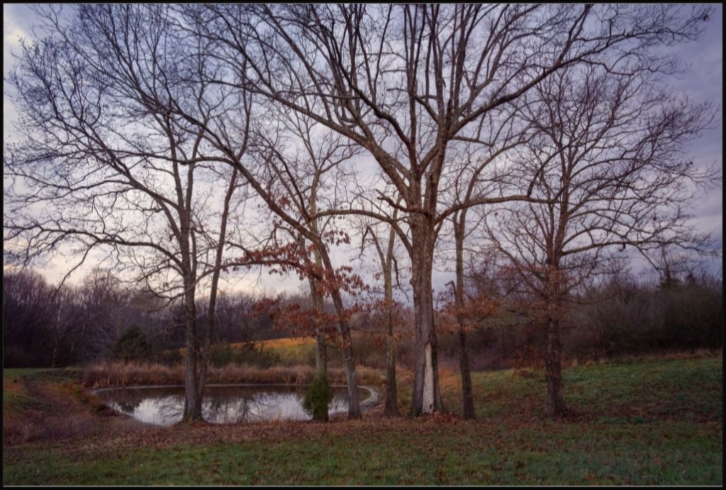 Peaceful TN Pond