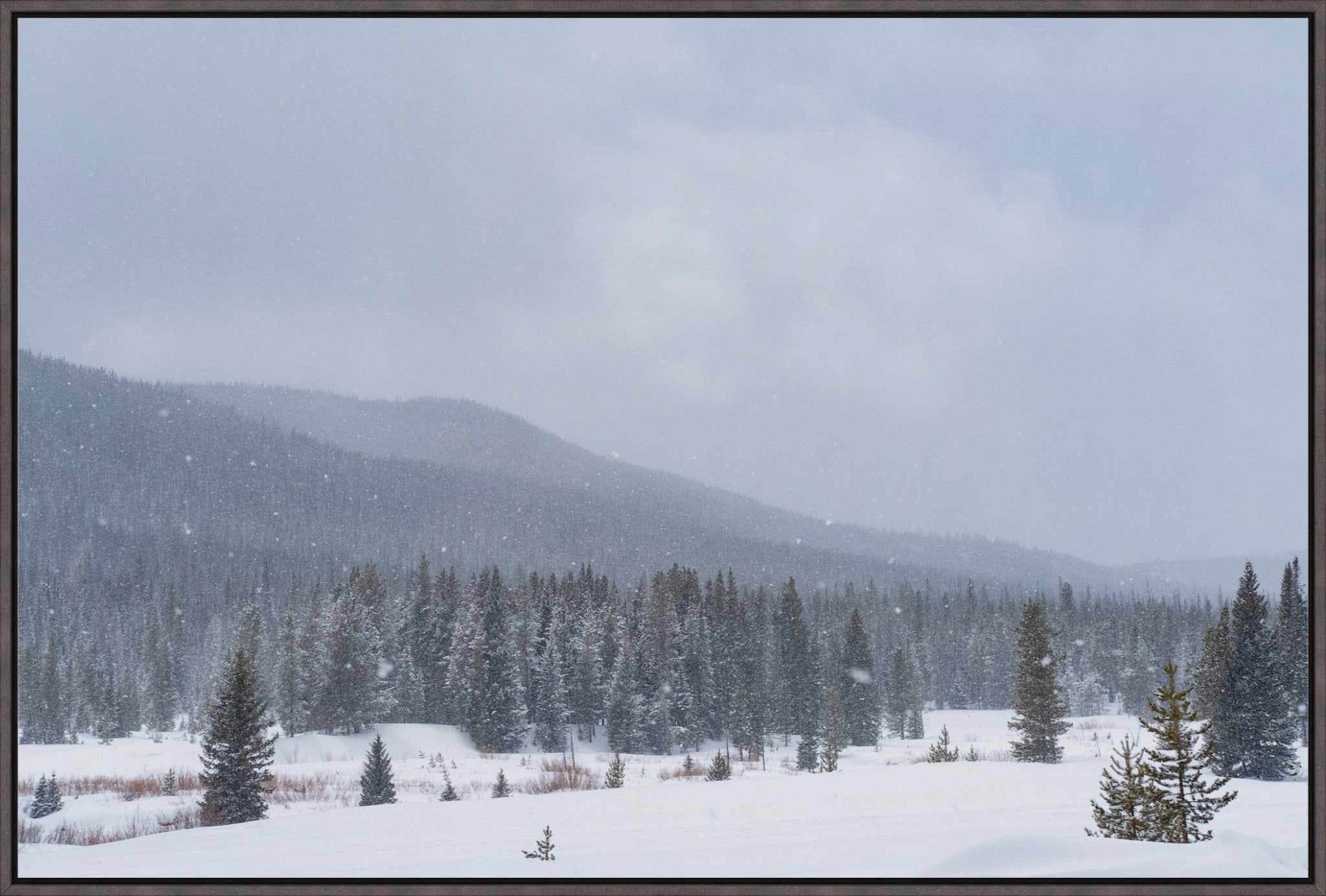 Late Winter Snowfall